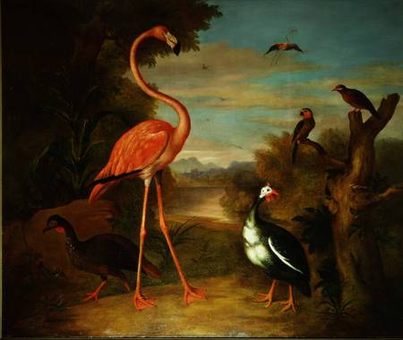 Flamingo In A Landscape